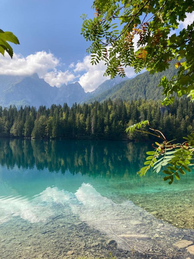 Apartments Belopeski Dvori Kranjska Gora Exteriér fotografie