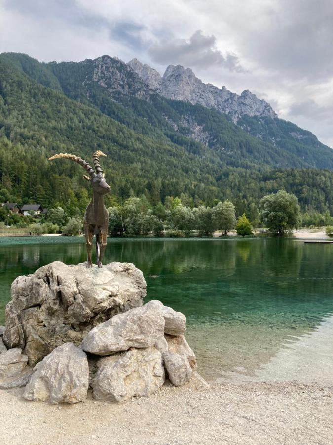 Apartments Belopeski Dvori Kranjska Gora Exteriér fotografie